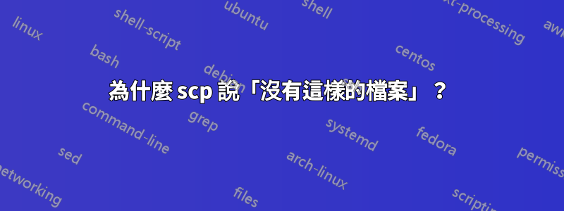 為什麼 scp 說「沒有這樣的檔案」？