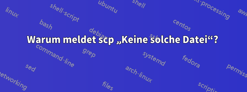 Warum meldet scp „Keine solche Datei“?