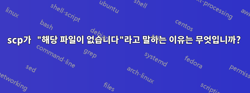 scp가 "해당 파일이 없습니다"라고 말하는 이유는 무엇입니까?