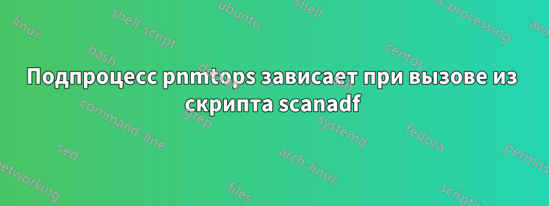 Подпроцесс pnmtops зависает при вызове из скрипта scanadf