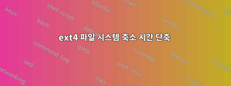 ext4 파일 시스템 축소 시간 단축