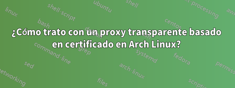 ¿Cómo trato con un proxy transparente basado en certificado en Arch Linux?