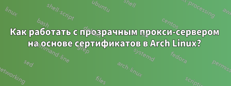 Как работать с прозрачным прокси-сервером на основе сертификатов в Arch Linux?