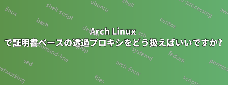 Arch Linux で証明書ベースの透過プロキシをどう扱えばいいですか?