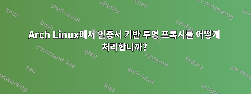 Arch Linux에서 인증서 기반 투명 프록시를 어떻게 처리합니까?