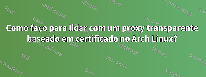 Como faço para lidar com um proxy transparente baseado em certificado no Arch Linux?