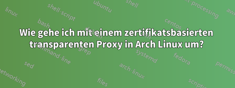 Wie gehe ich mit einem zertifikatsbasierten transparenten Proxy in Arch Linux um?