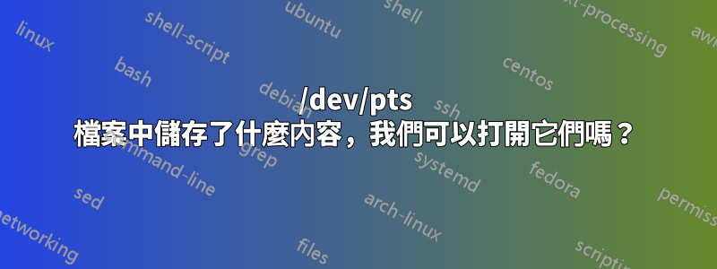 /dev/pts 檔案中儲存了什麼內容，我們可以打開它們嗎？