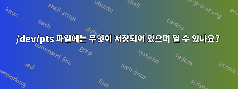 /dev/pts 파일에는 무엇이 저장되어 있으며 열 수 있나요?