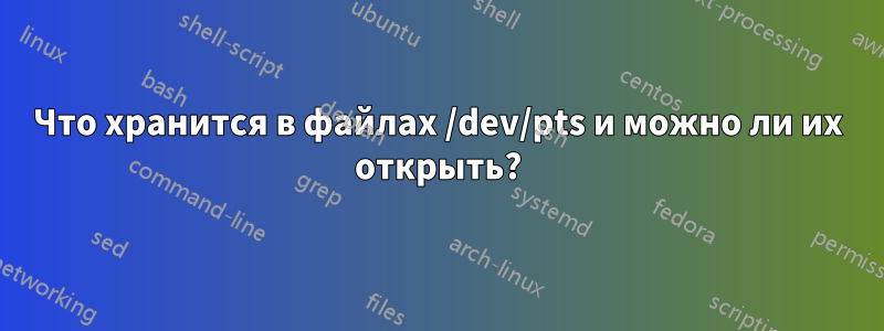 Что хранится в файлах /dev/pts и можно ли их открыть?