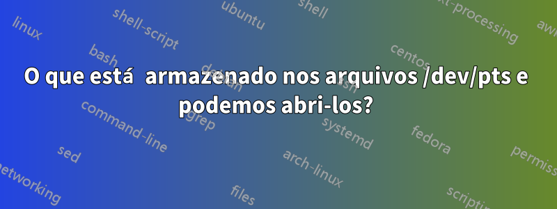 O que está armazenado nos arquivos /dev/pts e podemos abri-los?