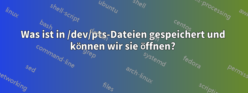 Was ist in /dev/pts-Dateien gespeichert und können wir sie öffnen?