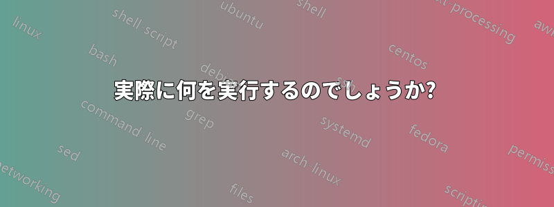 実際に何を実行するのでしょうか?