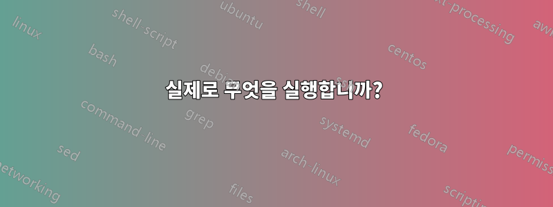 실제로 무엇을 실행합니까?