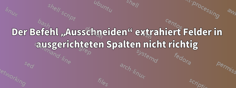 Der Befehl „Ausschneiden“ extrahiert Felder in ausgerichteten Spalten nicht richtig