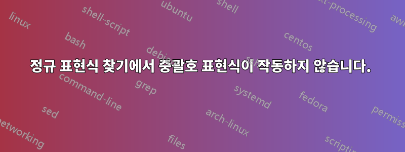 정규 표현식 찾기에서 중괄호 표현식이 작동하지 않습니다.