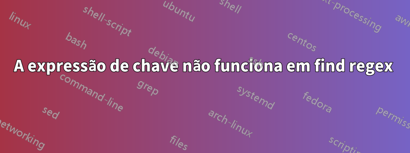 A expressão de chave não funciona em find regex