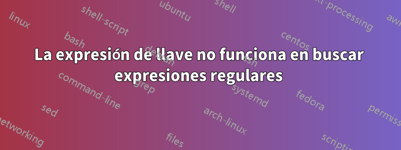 La expresión de llave no funciona en buscar expresiones regulares