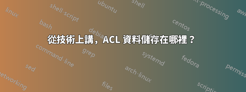 從技術上講，ACL 資料儲存在哪裡？