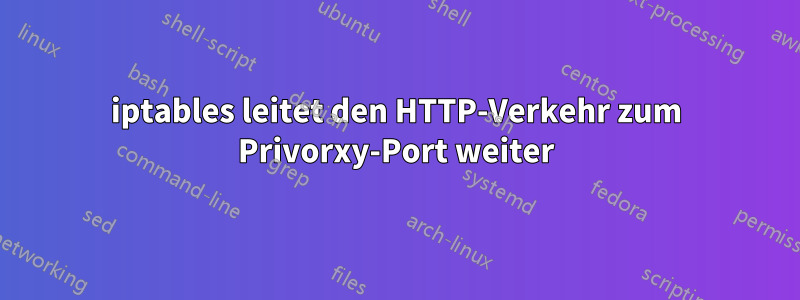 iptables leitet den HTTP-Verkehr zum Privorxy-Port weiter