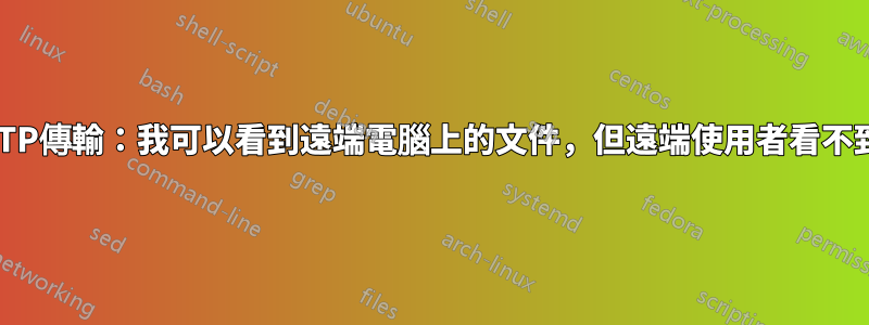 FTP傳輸：我可以看到遠端電腦上的文件，但遠端使用者看不到