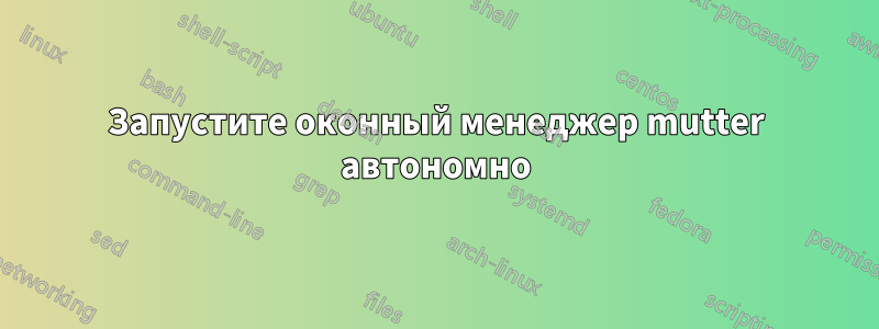 Запустите оконный менеджер mutter автономно