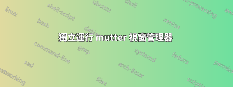 獨立運行 mutter 視窗管理器