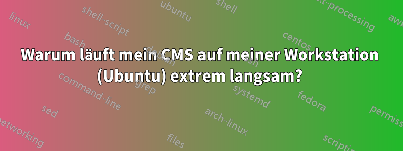 Warum läuft mein CMS auf meiner Workstation (Ubuntu) extrem langsam?