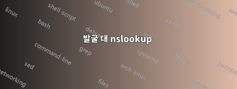 발굴 대 nslookup