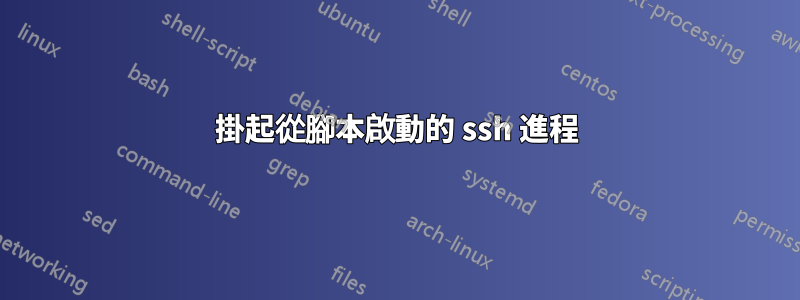 掛起從腳本啟動的 ssh 進程