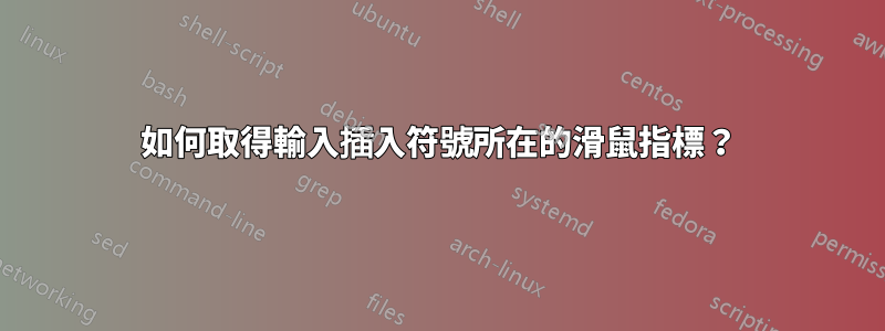 如何取得輸入插入符號所在的滑鼠指標？