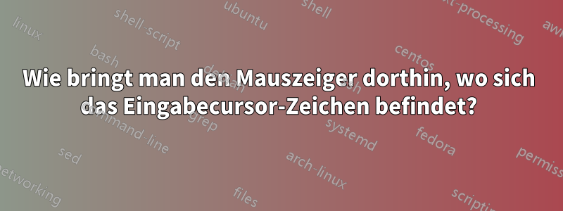 Wie bringt man den Mauszeiger dorthin, wo sich das Eingabecursor-Zeichen befindet?