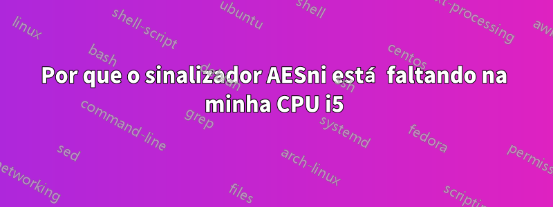 Por que o sinalizador AESni está faltando na minha CPU i5