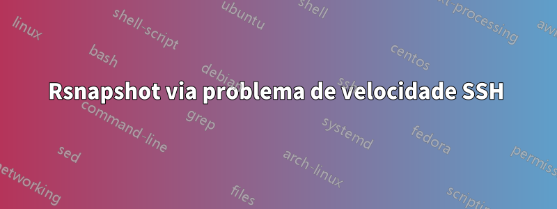 Rsnapshot via problema de velocidade SSH