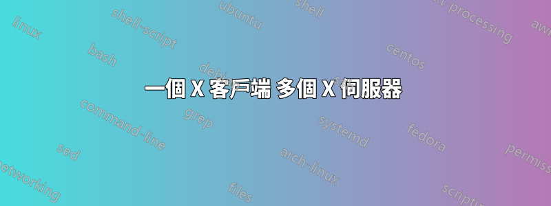 一個 X 客戶端 多個 X 伺服器