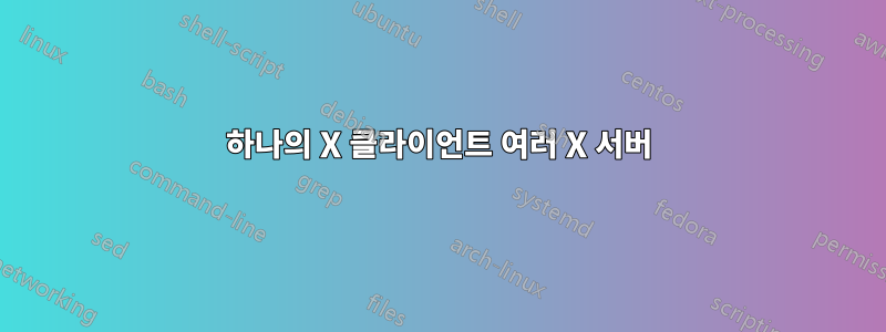 하나의 X 클라이언트 여러 X 서버