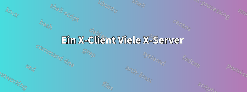 Ein X-Client Viele X-Server