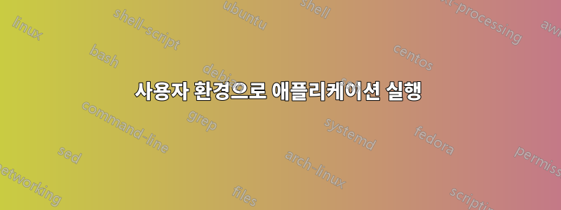 사용자 환경으로 애플리케이션 실행