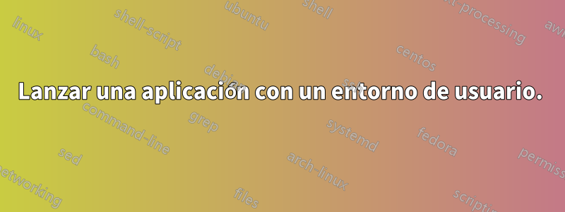 Lanzar una aplicación con un entorno de usuario.