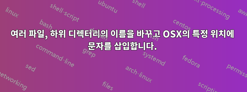 여러 파일, 하위 디렉터리의 이름을 바꾸고 OSX의 특정 위치에 문자를 삽입합니다.