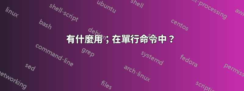 有什麼用；在單行命令中？