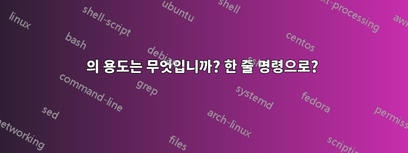 의 용도는 무엇입니까? 한 줄 명령으로?