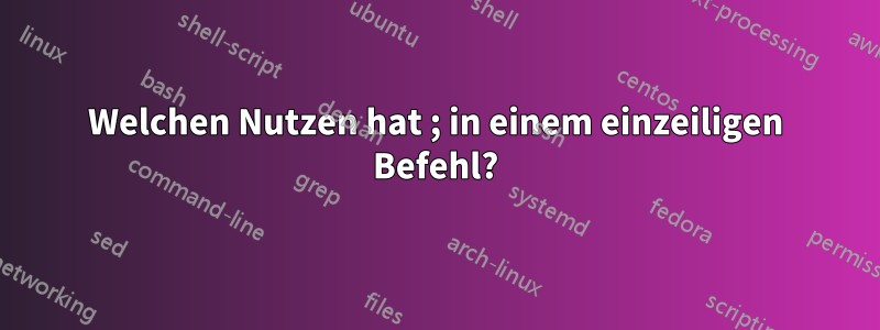 Welchen Nutzen hat ; in einem einzeiligen Befehl?