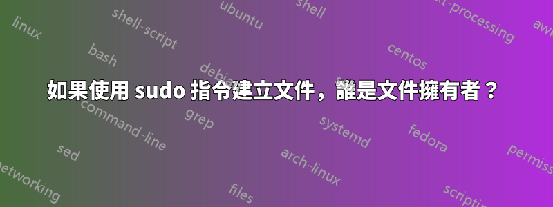 如果使用 sudo 指令建立文件，誰是文件擁有者？