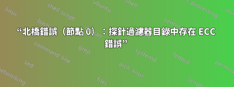 “北橋錯誤（節點 0）：探針過濾器目錄中存在 ECC 錯誤”