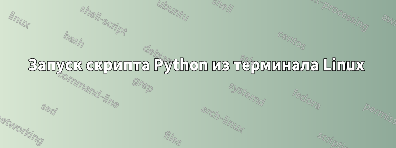 Запуск скрипта Python из терминала Linux