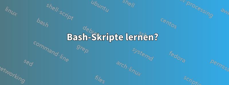 Bash-Skripte lernen? 