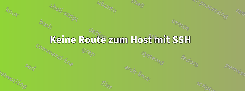 Keine Route zum Host mit SSH 