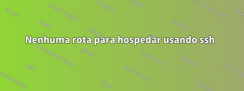 Nenhuma rota para hospedar usando ssh 