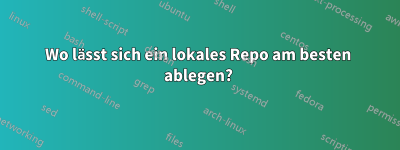 Wo lässt sich ein lokales Repo am besten ablegen?